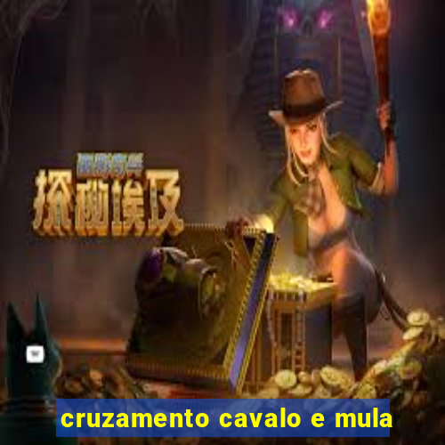 cruzamento cavalo e mula